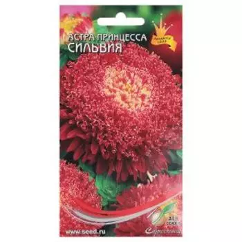 Семена Астра Принцесса Сильвия