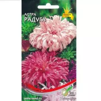Семена Астра Радуга смесь
