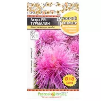 семена Астра Русский размер I Турмалин