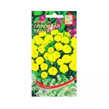 Семена Бархатцы Тагетес отклонённый Лимонная Капля