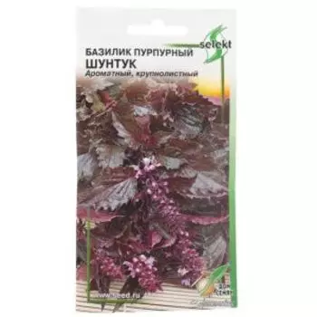 Семена Базилик овощной Шунтук фиолетовый