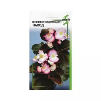 Семена Бегония вечноцветущая Наход