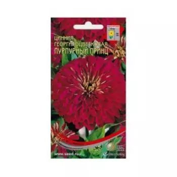 Семена Цинния Пурпурный принц