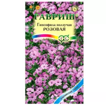 семена Гипсофила ползучая роуз