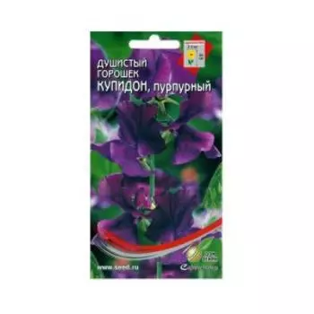 Семена Горошек душистый Купидон пурпурный