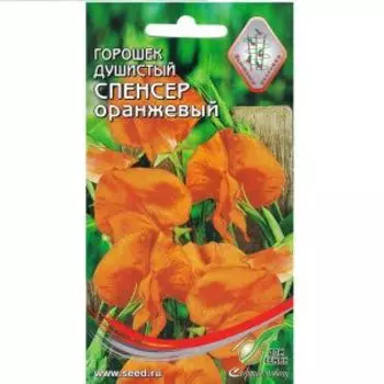Семена Горошек душистый Спенсер оранжевый
