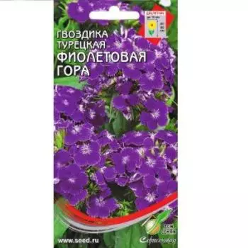 Семена Гвоздика турецкая Фиолетовая Гора