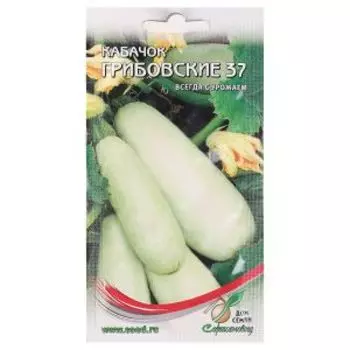 Семена Кабачок Грибовские 37