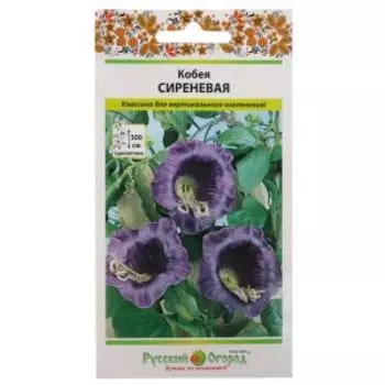 Семена Кобея Сиреневая, 5 шт