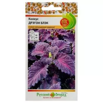 Семена Колеус Дрэгон Блек