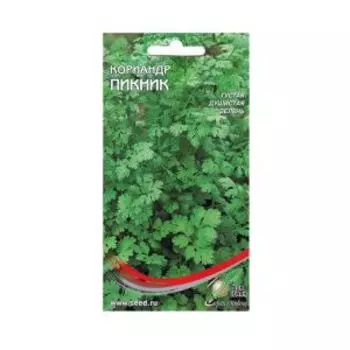 Семена Кориандр Пикник