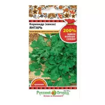 Семена Кориандр Янтарь