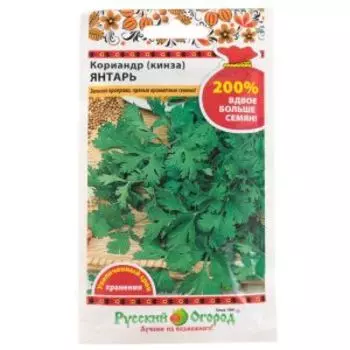 Семена Кориандр Янтарь СО