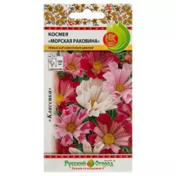 Семена Космея Морская раковина