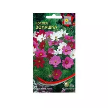 Семена Космея низкорослая Золушка
