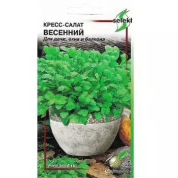 Семена Кресс-салат Весенний