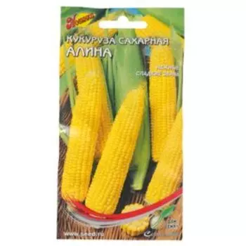 Семена Кукуруза сахарная Алина