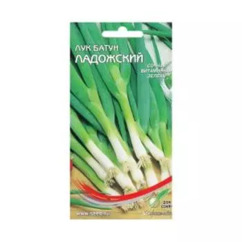Семена Лук батун Ладожский