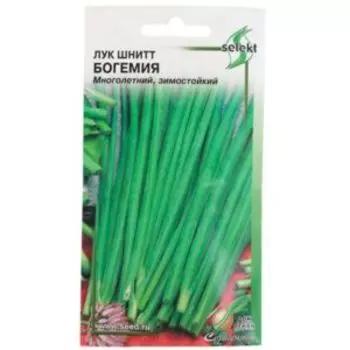 Семена Лук шнитт Богемия