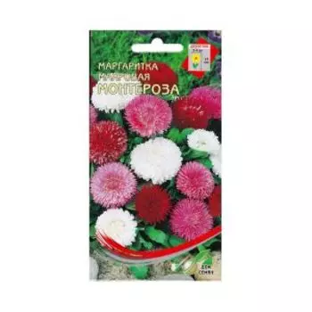 Семена Маргаритка многолетняя Монтероза