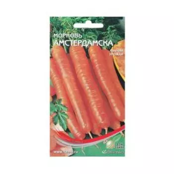 Семена Морковь Амстердамска