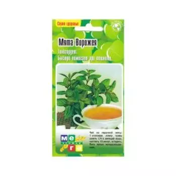 Семена Мята Ворожея