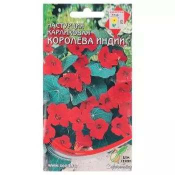 Семена Настурция Королева Индии