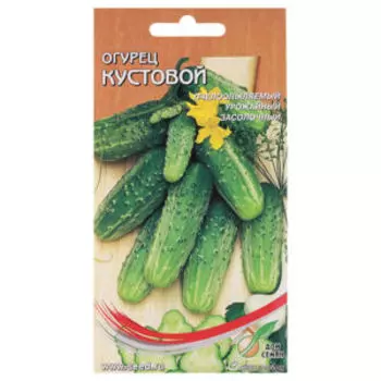 Семена Огурец Кустовой