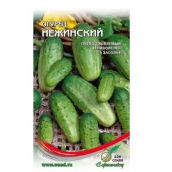 Семена Огурец Нежинский