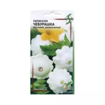 Семена Патиссон Чебурашка