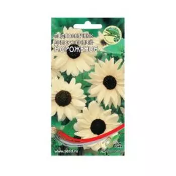 Семена Подсолнечник декоративный кремово-белый Мороженое