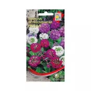Семена Примула многолетнаяя мелкозубчатая Непал