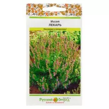 Семена пряность Иссоп лекарственный Лекарь