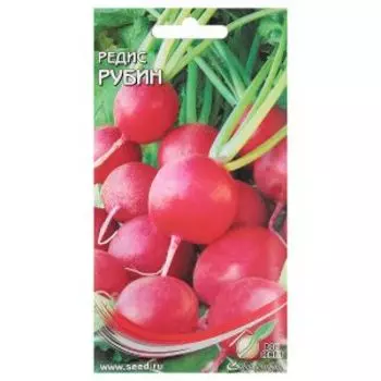 Семена Редис Рубин