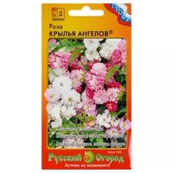 Семена Роза Крылья Ангелов