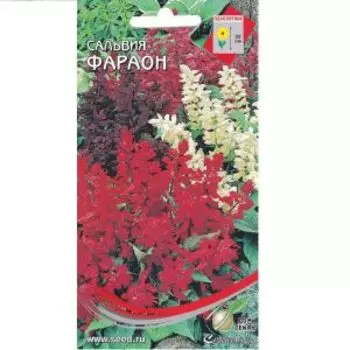 Семена Сальвия Фараон