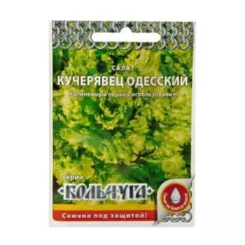 Семена Салат кочанный Кучерявец Одесский Кольчуга NEW, 1 г