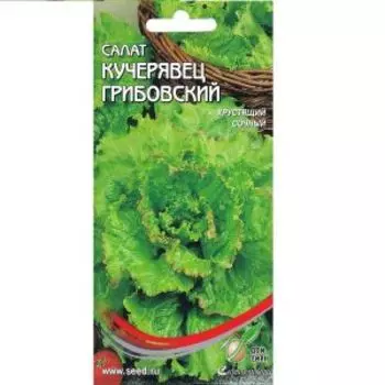 Семена Салат Кучерявец Грибовский