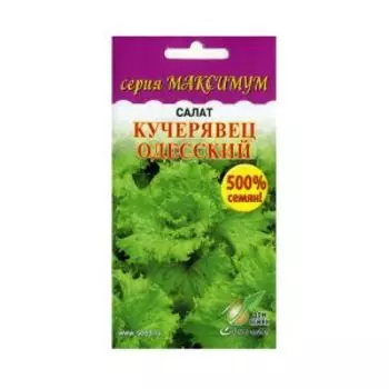 Семена Салат Кучерявец Одесский, увеличенная фасовка