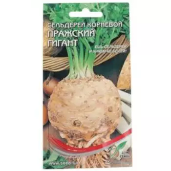 Семена Сельдерей корневой Пражский гигант