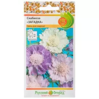 Семена Скабиоза Загадка, смесь