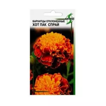 Семена Тагетес Бархатцы отклонённый Хот Пак Спрай