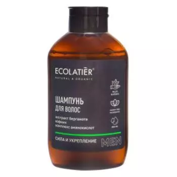 Шампунь для волос Ecolatier Сила и укрепление, мужской, 400 мл