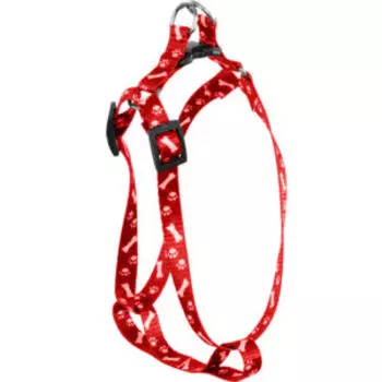 Шлейка с поводком РЫЖИЙ КОТ, ширина 1 см, размер S