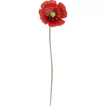 Штекер садовый Мак самосейка, 54 см, металл