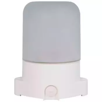 Светильник ЭРА НББ 01-60-001 для бани, пластик, стекло, E27, 60 Вт, IP65, белый