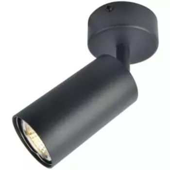 Светильник настенно-потолочный ARTE LAMP Aquarius, GU10, 50Вт, черный