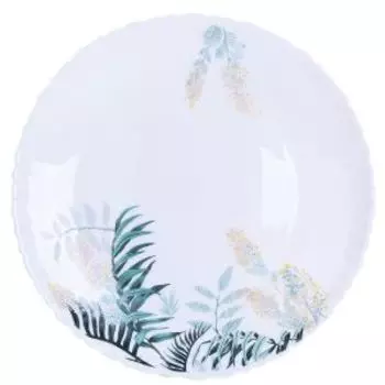 Тарелка обеденная Oasis, 24 см, стекло