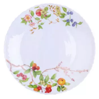 Тарелка обеденная Ranet, 24 см, стекло