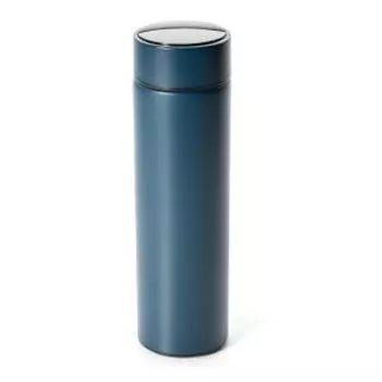 Термос Apollo Sense, 480 мл, с индикатором температуры, нерж. сталь/пластик/силикон